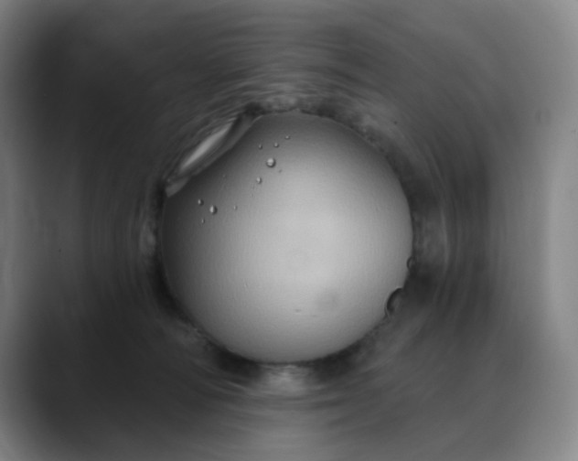 X0000088690226200706141418