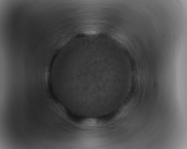 X0000088690227200706141418
