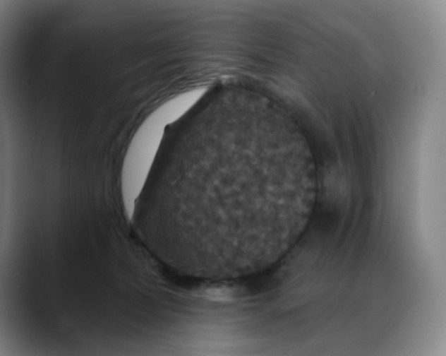X0000088690228200706141418