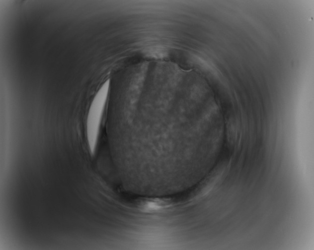 X0000088690229200706141418