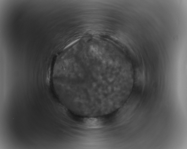 X0000088690230200706141418