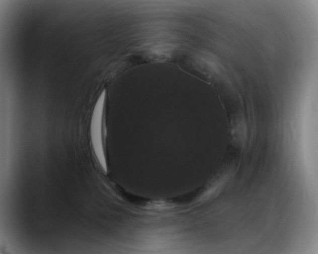 X0000088690231200706141418