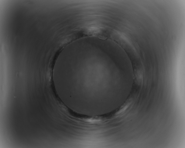 X0000088690232200706141418