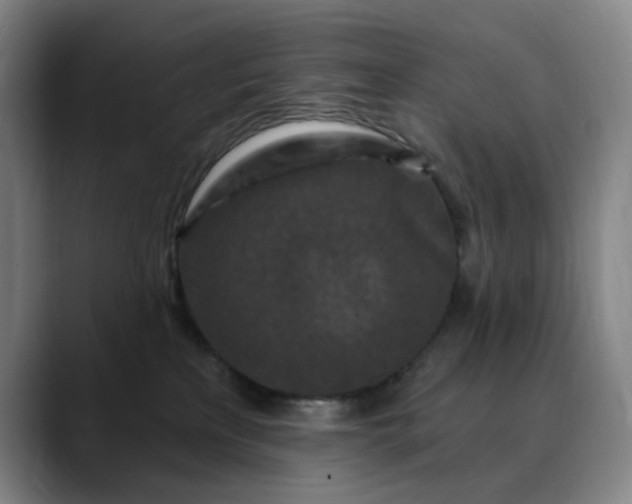 X0000088690233200706141418