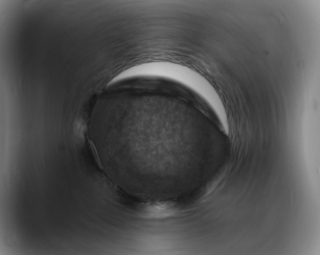 X0000088690235200706141418