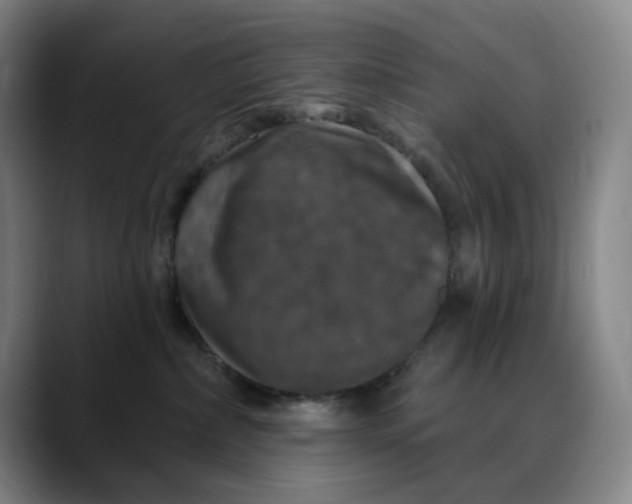 X0000088690236200706141418