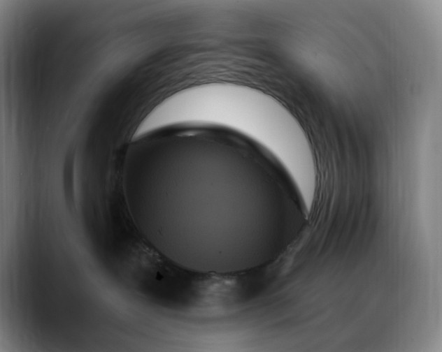 X0000088690239200706141418