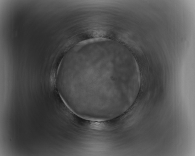 X0000088690240200706141418
