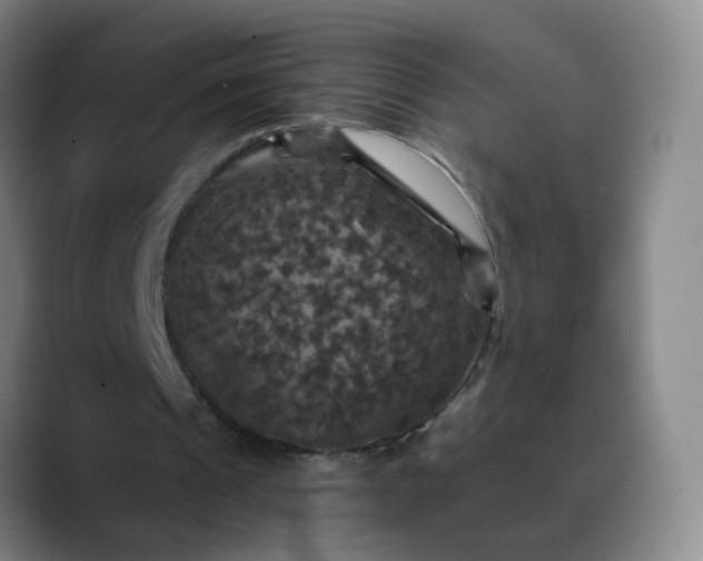 X0000088690241200706141417