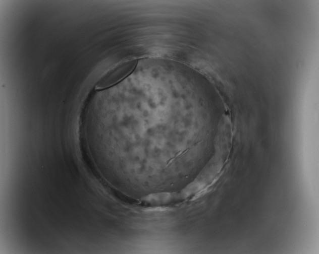 X0000088690242200706141417