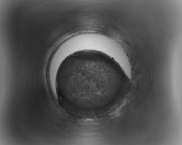 X0000088690244200706141417