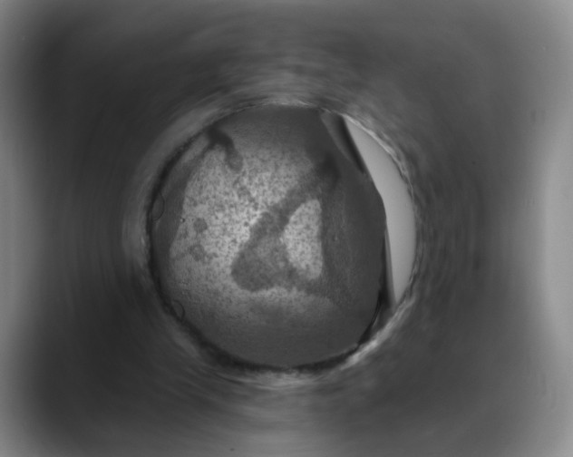X0000088690245200706141417