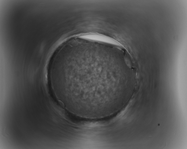 X0000088690246200706141417