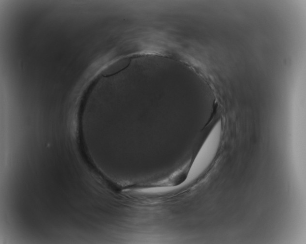 X0000088690247200706141417