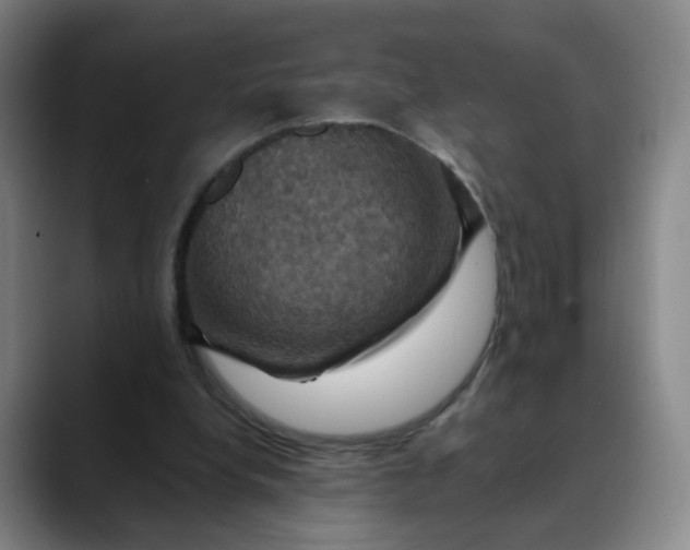 X0000088690248200706141417