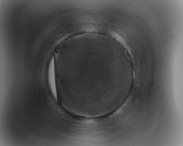 X0000088690249200706141417