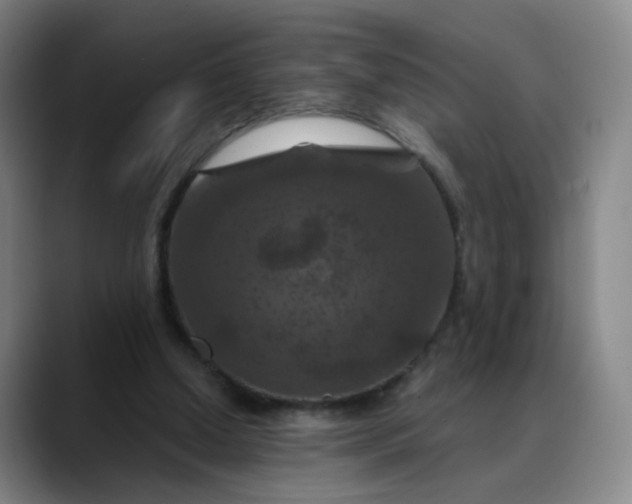 X0000088690250200706141417