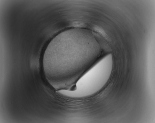 X0000088690252200706141417