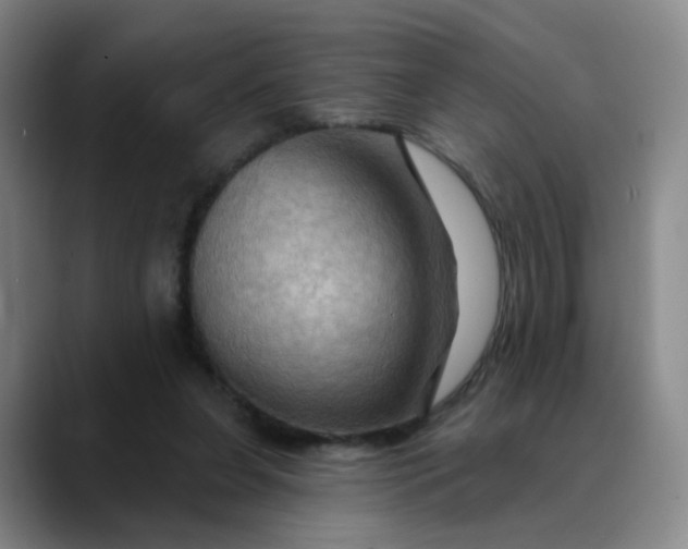 X0000088690255200706141417