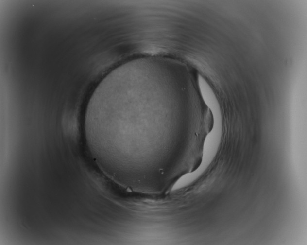 X0000088690256200706141417