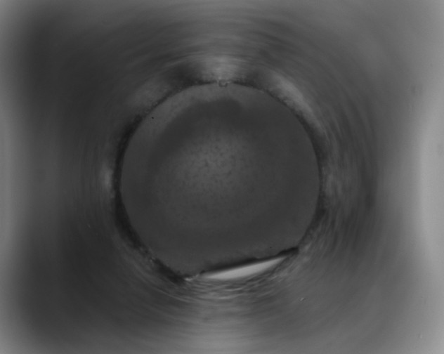 X0000088690258200706141417