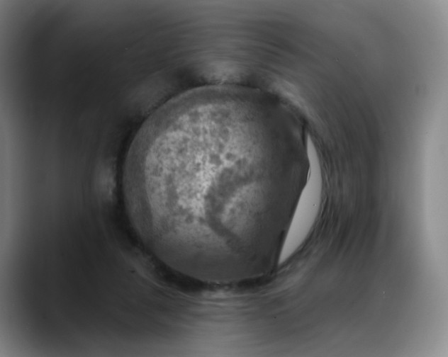 X0000088690259200706141417