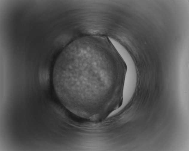 X0000088690260200706141417