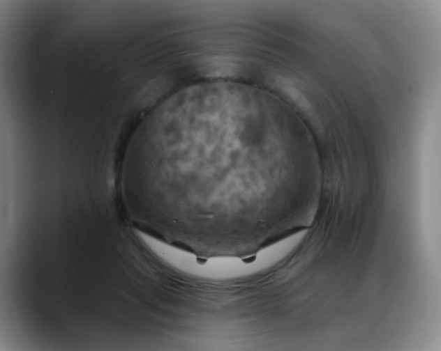 X0000088690261200706141417