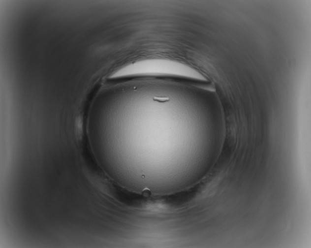 X0000088690262200706141417