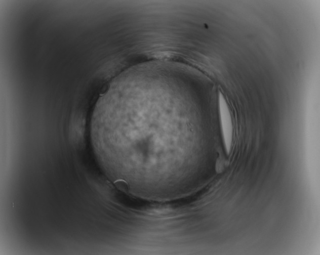 X0000088690263200706141417