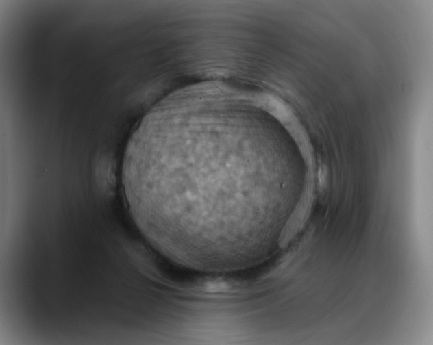 X0000088690264200706141417