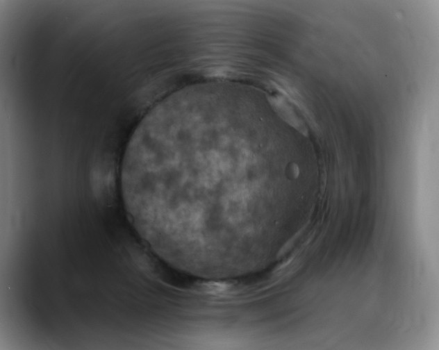 X0000088690265200706141417