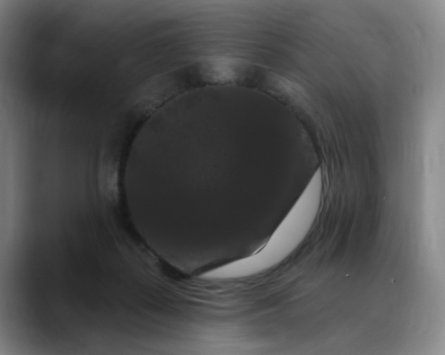 X0000088690267200706141417