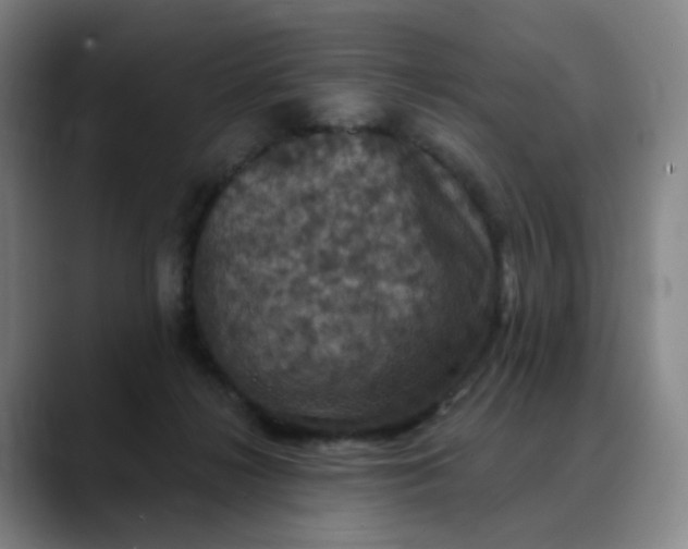 X0000088690268200706141417