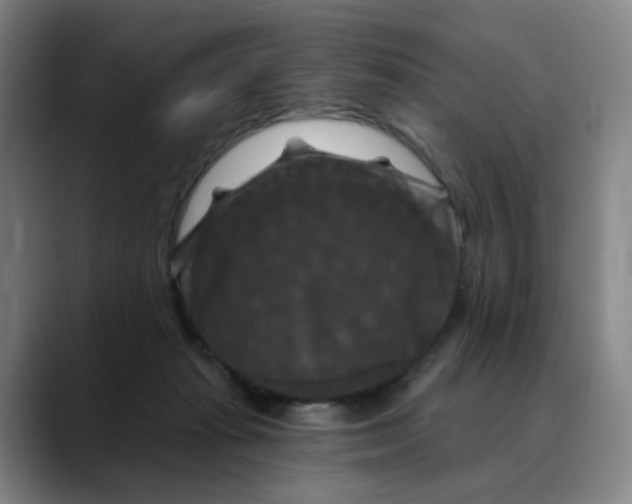 X0000088690269200706141417