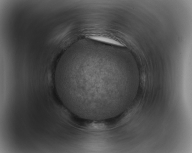 X0000088690270200706141417