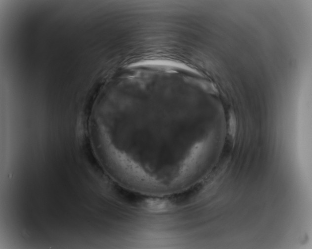 X0000088690272200706141417