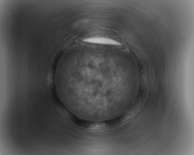 X0000088690274200706141417