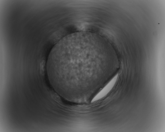 X0000088690275200706141417