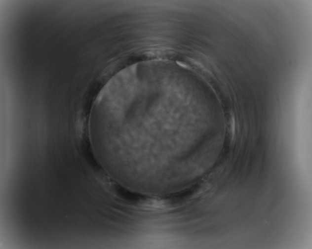 X0000088690276200706141417