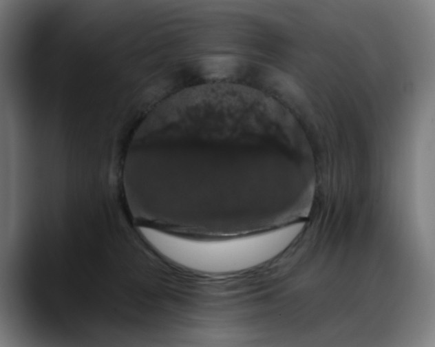 X0000088690277200706141417