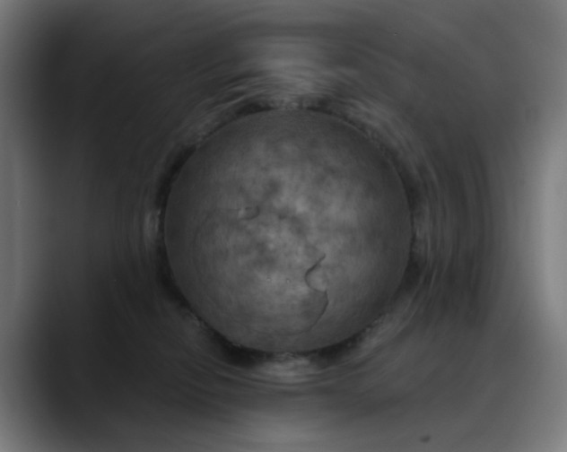 X0000088690278200706141418