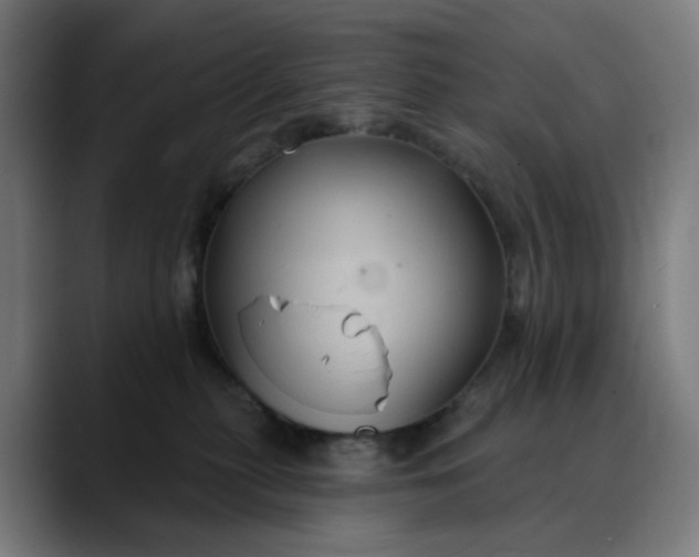 X0000088690279200706141418