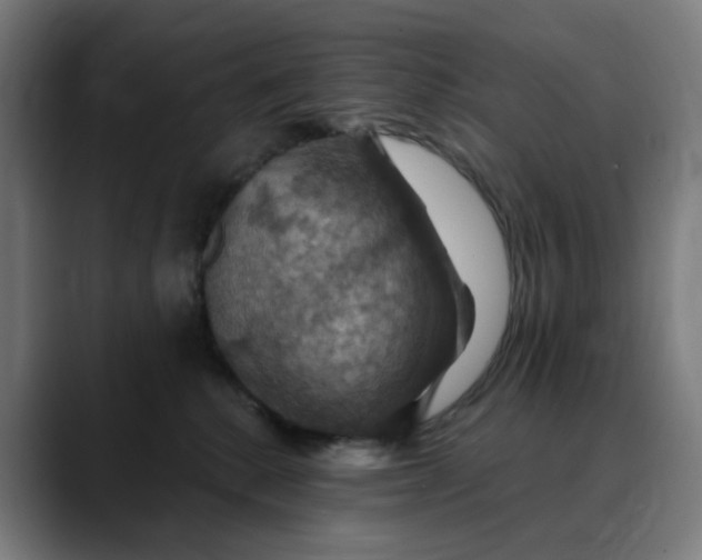X0000088690280200706141418