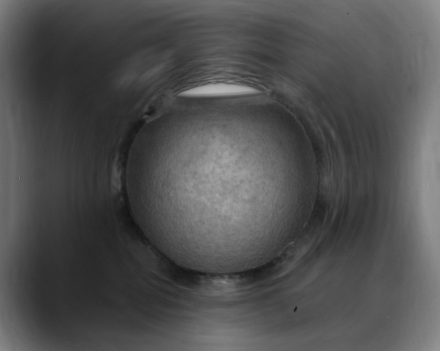 X0000088690282200706141418