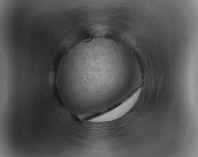 X0000088690283200706141418