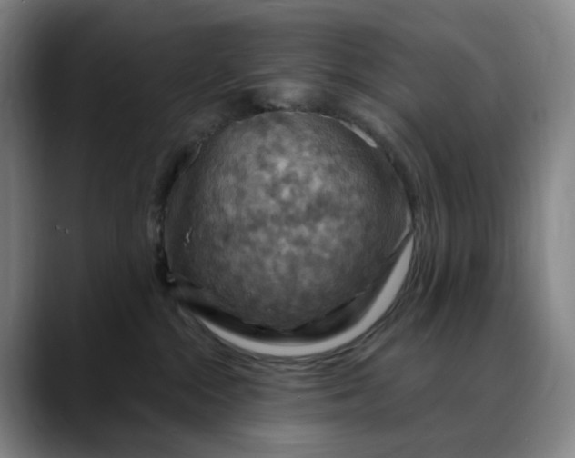 X0000088690284200706141418