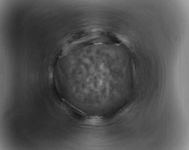 X0000088690288200706141418