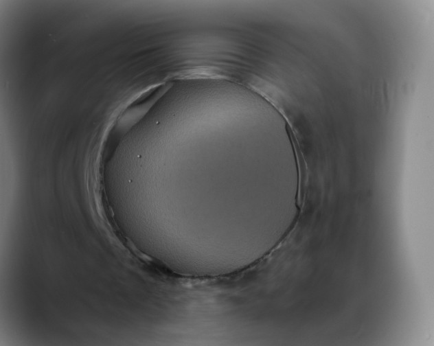 X0000088690289200706141417