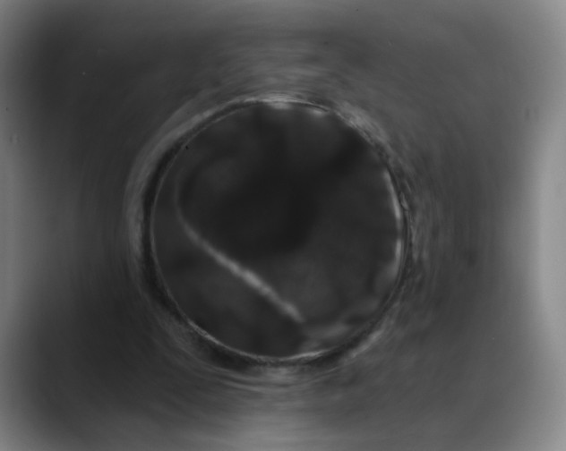 X0000088690295200706141417